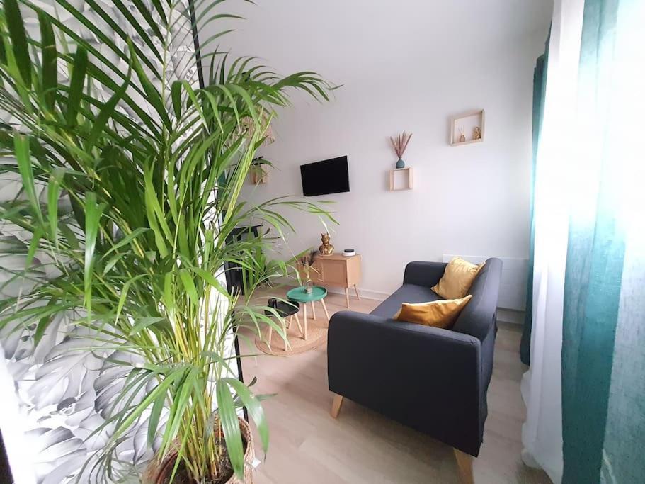 Apartamento Le Ouistiti - 50 M De La Gare - Parking Prive Tours Exterior foto