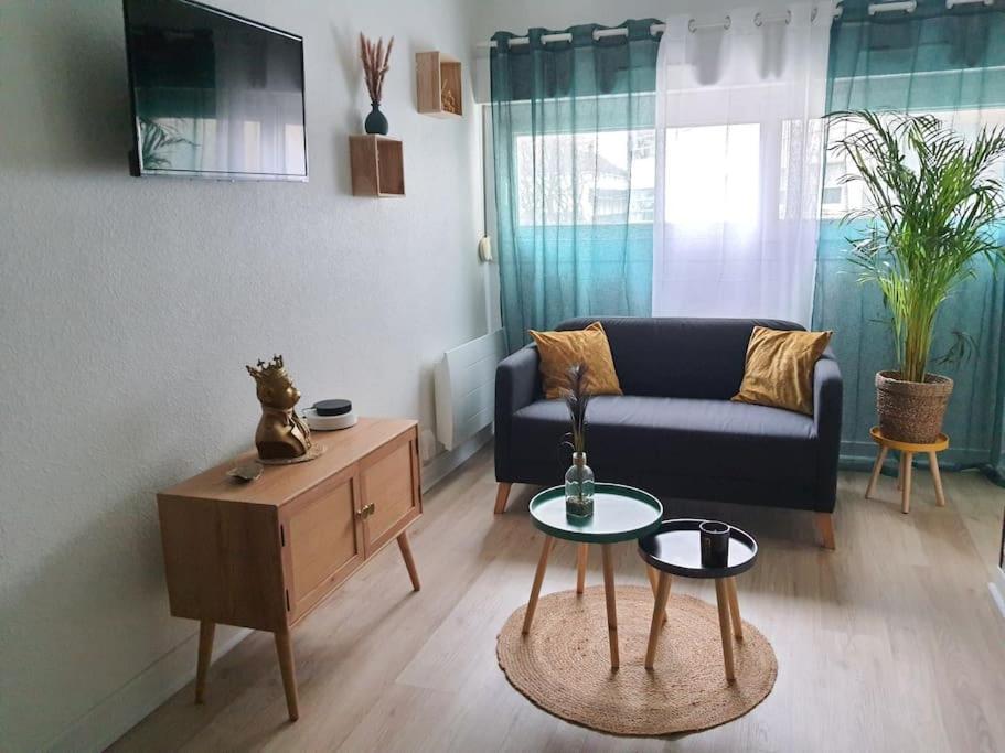 Apartamento Le Ouistiti - 50 M De La Gare - Parking Prive Tours Exterior foto